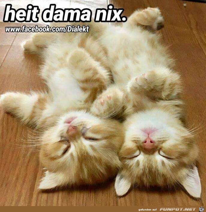 heit dama nix heit dama nix
