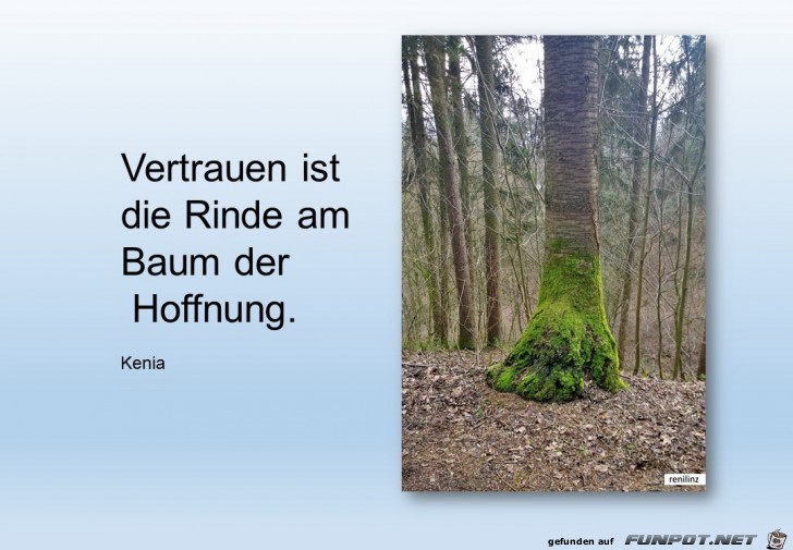 Vertrauen Vertrauen