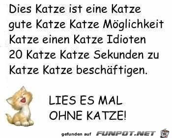 diese Katze ist eine Katze diese Katze ist eine Katze
