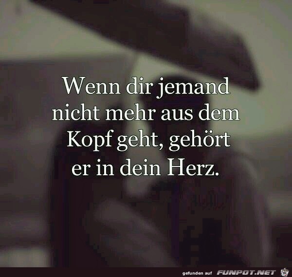 Herz 3