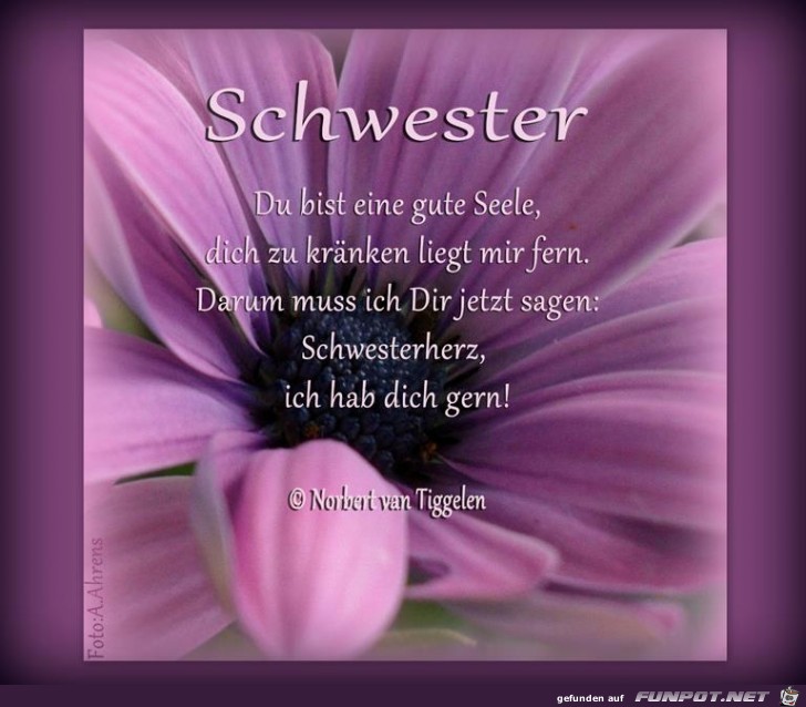 Schwester Schwester