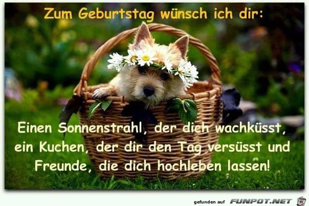 zum Geburtstag wuensche ich dir zum Geburtstag wuensche ich dir