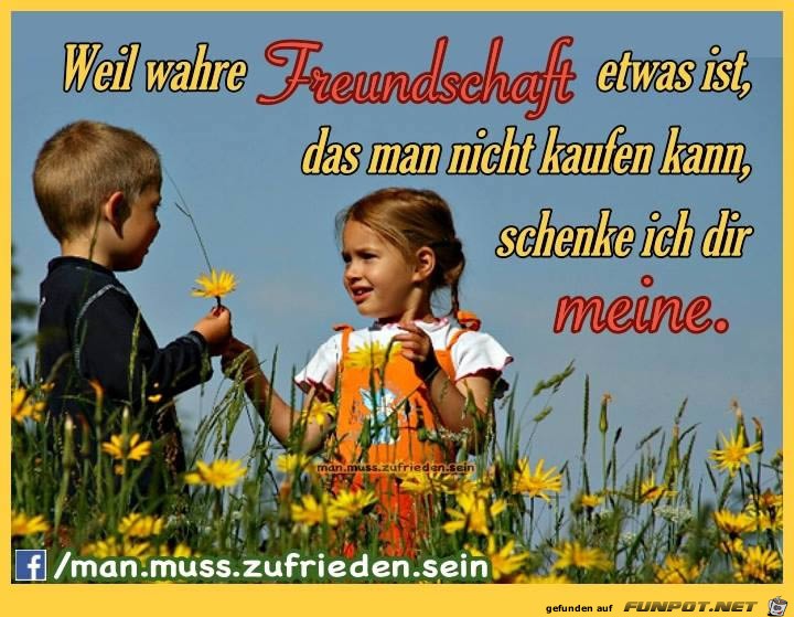 wahre Freundschaft