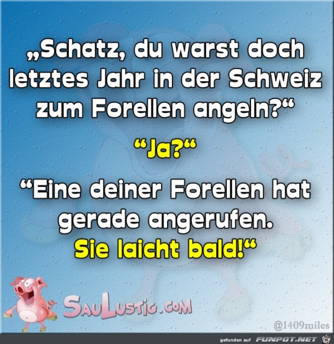 Forellen Angeln Forellen Angeln