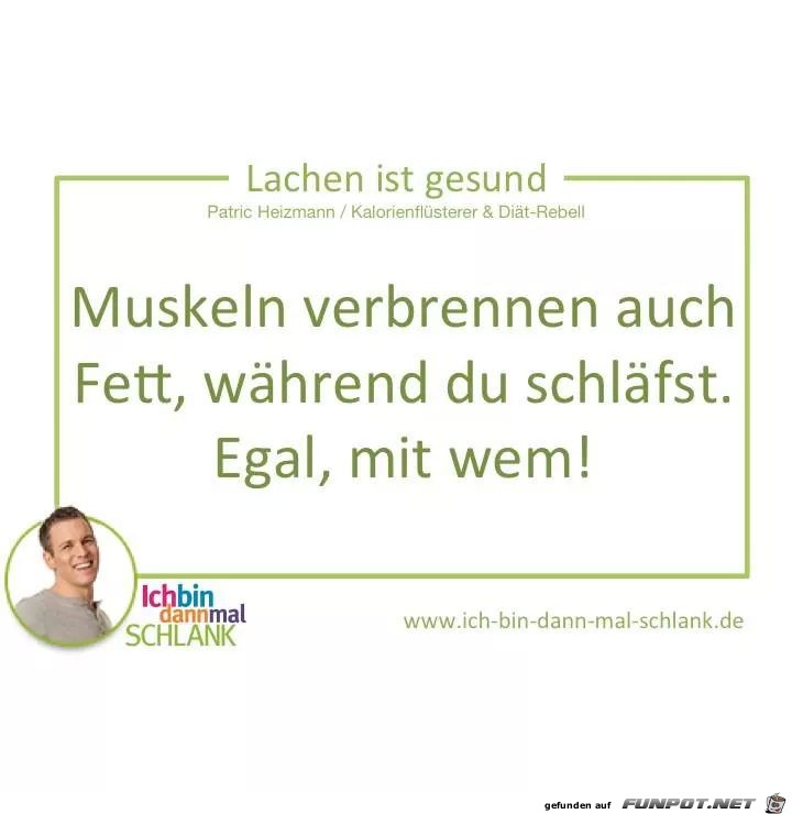 Muskeln