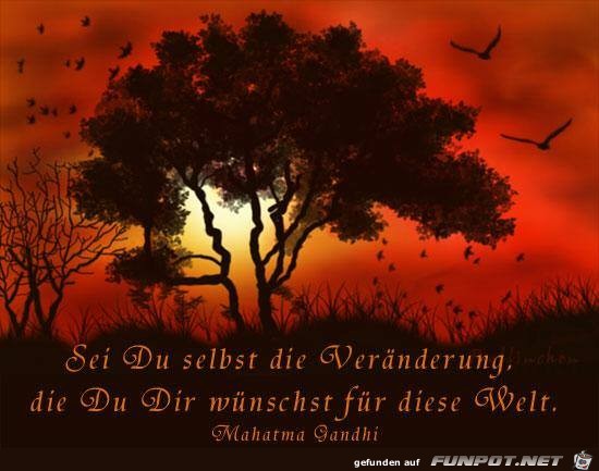Sei du selbst Sei du selbst