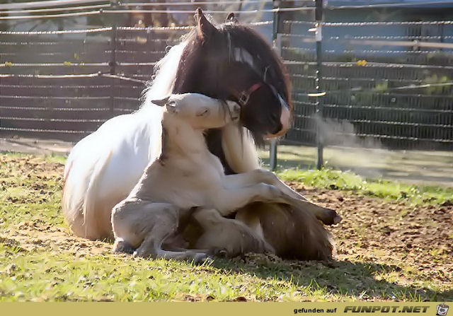 There is nothing like Mom's lap no