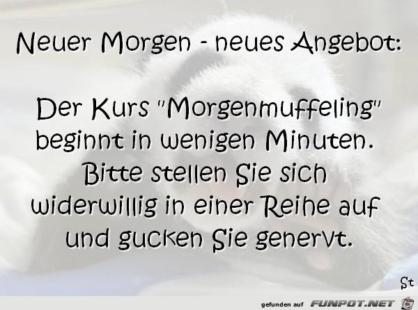 neues Angebot neues Angebot