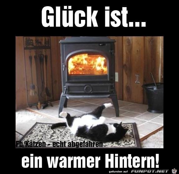 warmer hintern warmer hintern