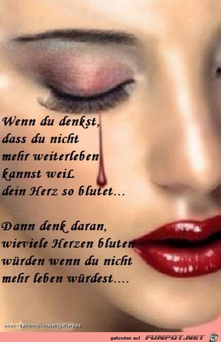 herzenbluten herzenbluten