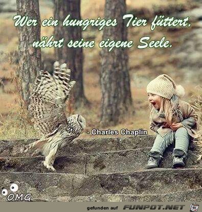 wer ein hungriges Tier fuettert wer ein hungriges Tier fuettert
