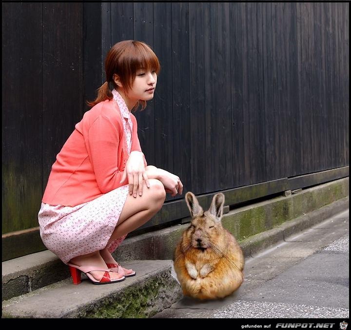 riesenhase riesenhase
