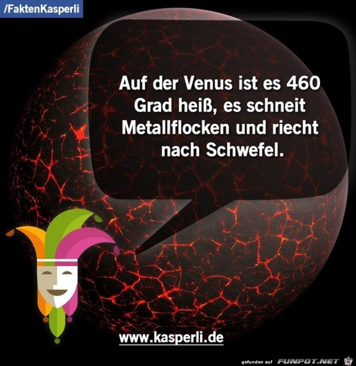 Venus Venus