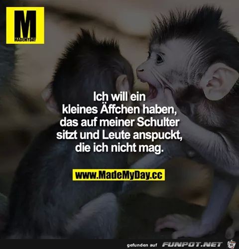 kleines aeffchen kleines aeffchen