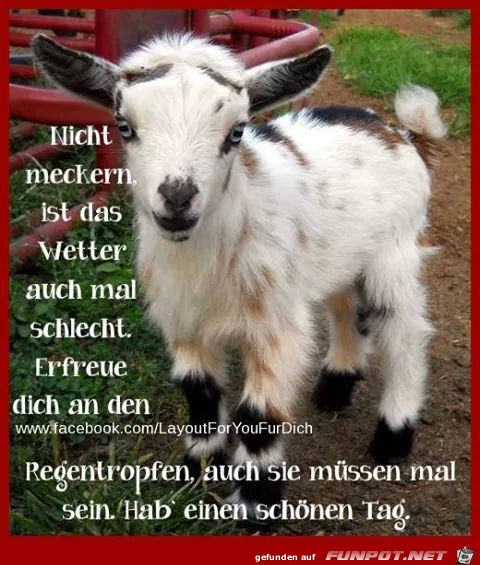 Nicht meckern Nicht meckern