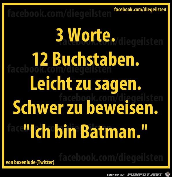 diegeilsten Batman diegeilsten Batman