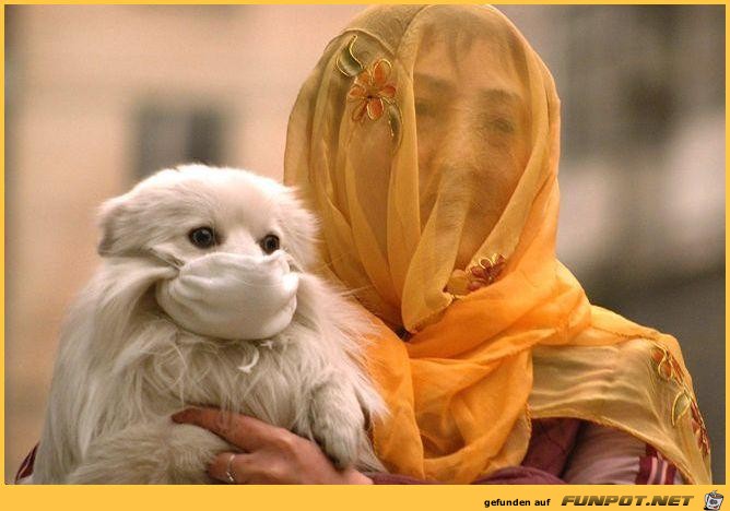 Muslim Doggy