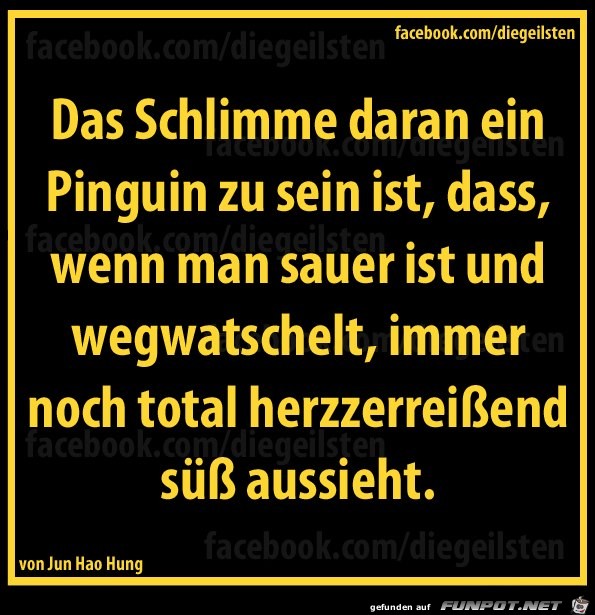 diegeilsten Pinguin diegeilsten Pinguin