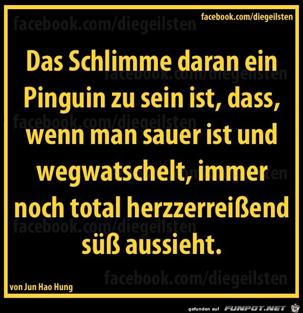 diegeilsten Pinguin