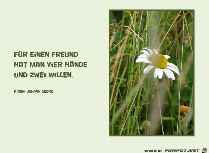 Fuer einen Freund Fuer einen Freund