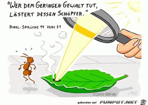 Sprueche 14 31 Sprueche 14 31