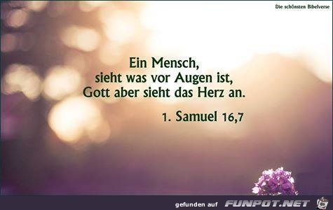 1 Sam 16 7 1 Sam 16 7
