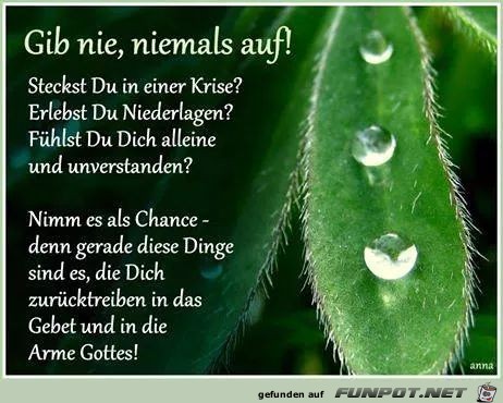 Gib niemals auf Gib niemals auf