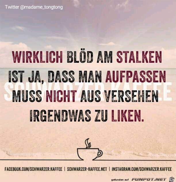 Stalken Stalken