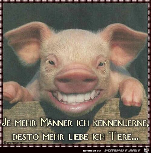 lustiges815 lustiges815
