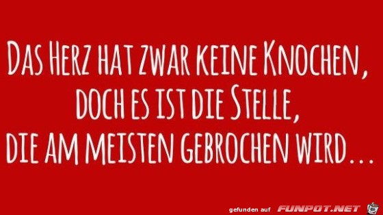 Knochen Knochen