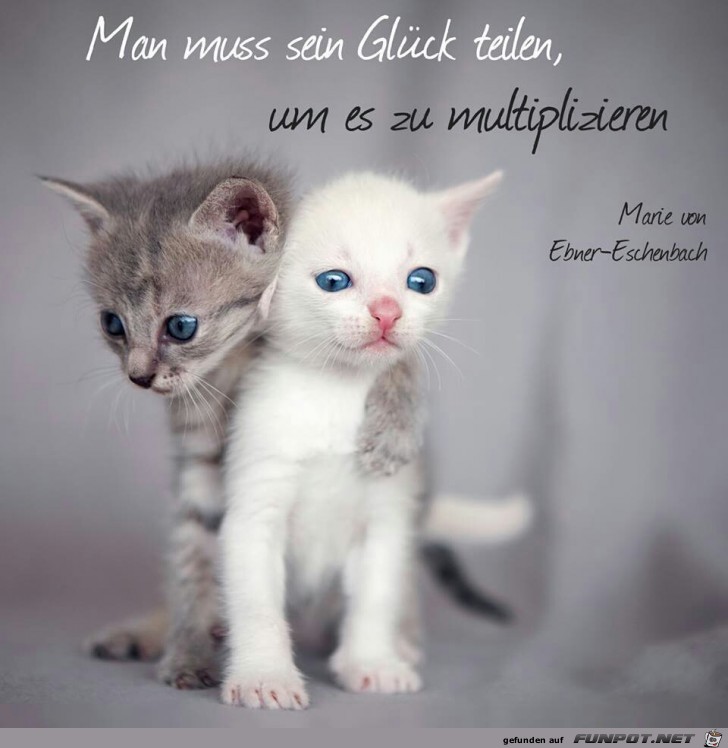 teilen teilen