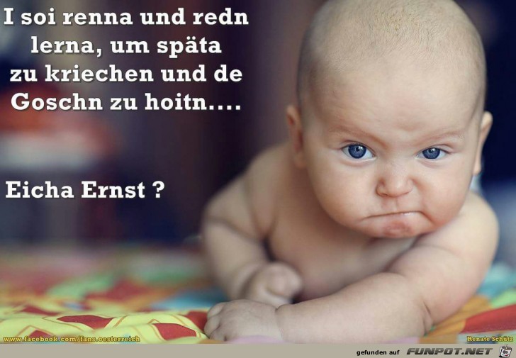 ich soll laufen und reden lernen ich soll laufen und reden lernen