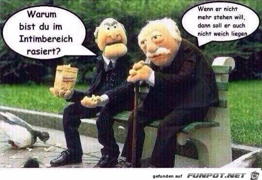 Warum Warum
