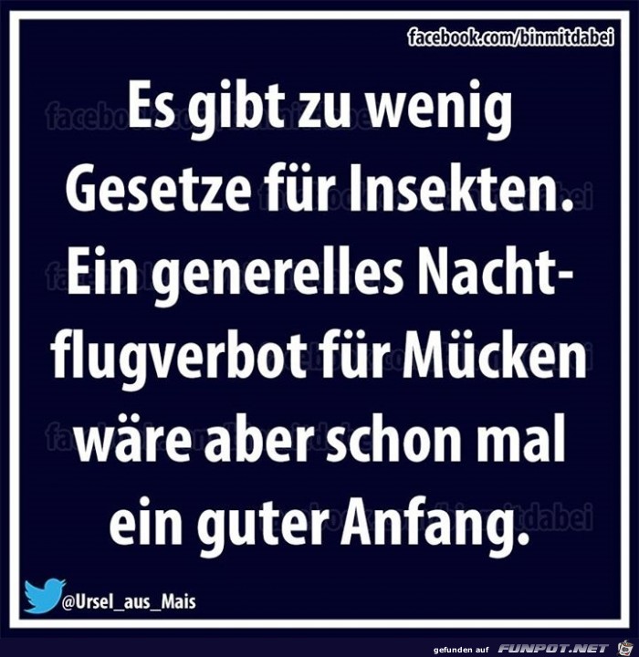 gesetze gesetze