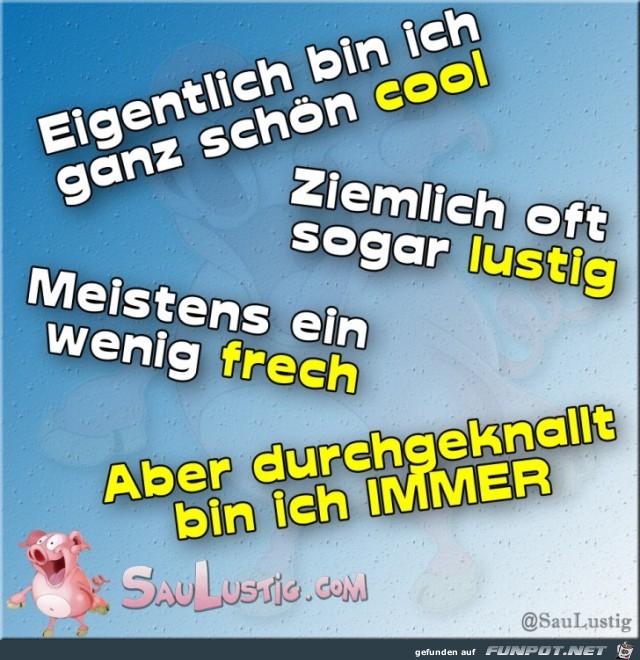 Eigentlich-bin-ich-cool Eigentlich-bin-ich-cool