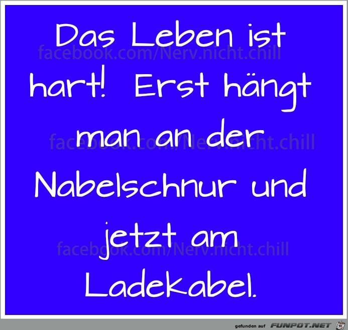 Das Leben ist hart