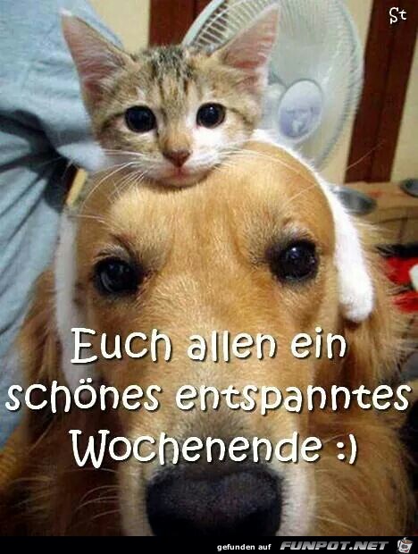 Wochenende Wochenende