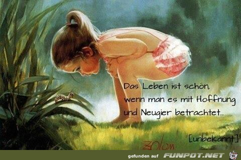 Neugier Neugier