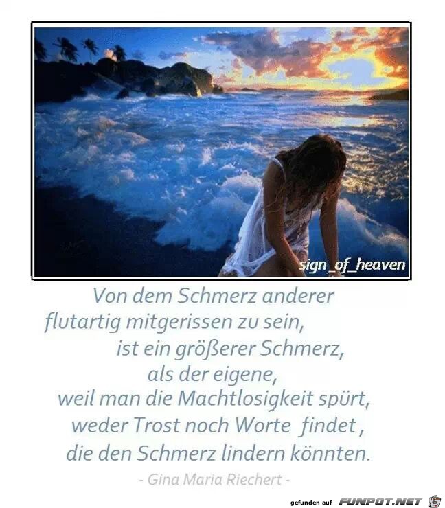 Von dem Schmerz anderer... Von dem Schmerz anderer...
