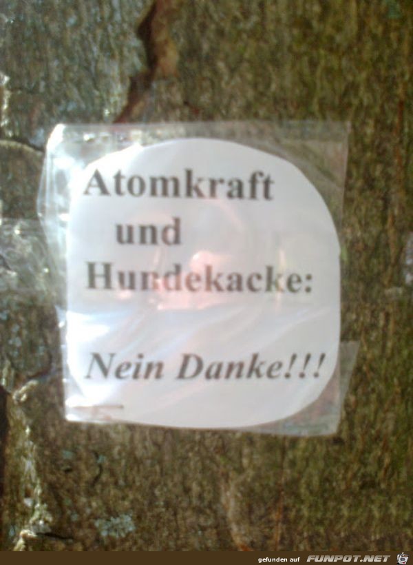 Atomkraft und Hundekacke