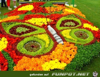 Blumendekorationen