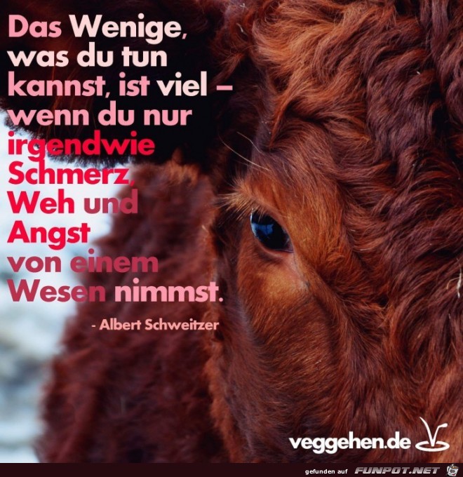 Das wenige was du tun kannst