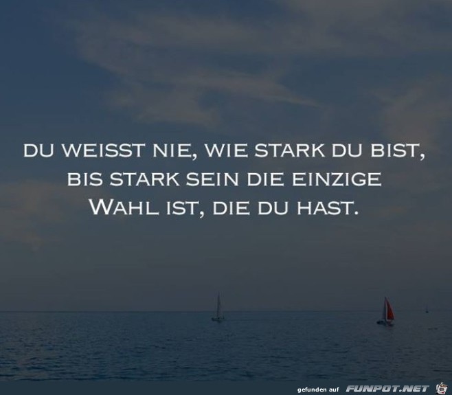 Stark sein