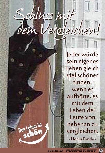 vergleichen vergleichen