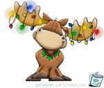 Weihnachtselch Weihnachtselch