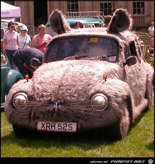 Beetle20Bunny