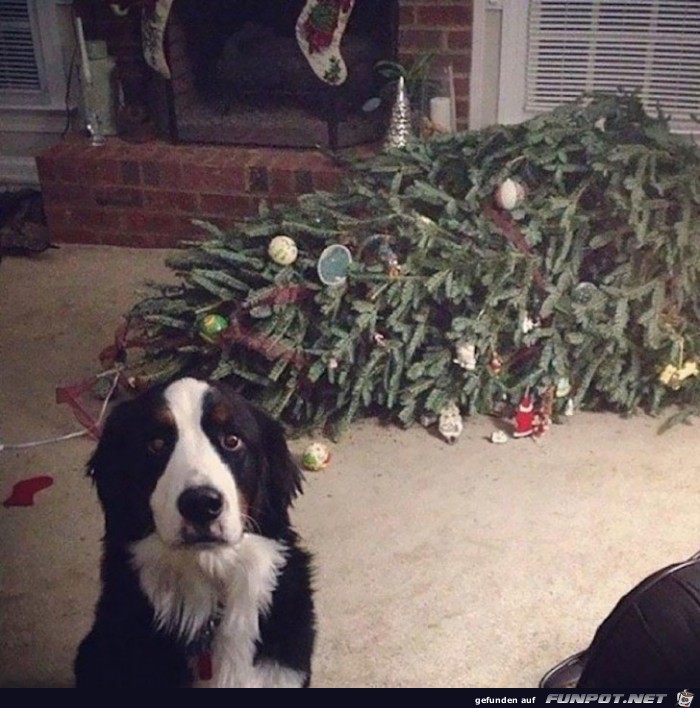 Weihnachts-Sabotage!