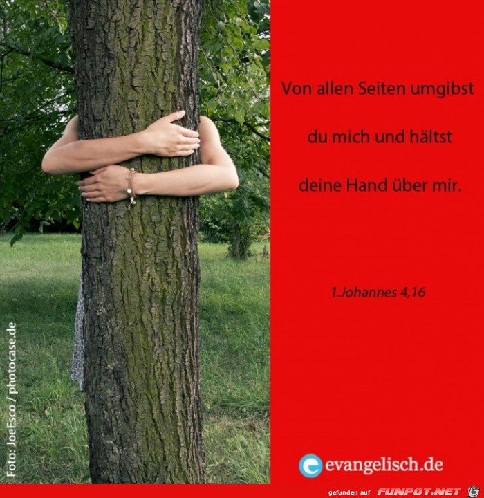 1. Johannes 4 16 1. Johannes 4 16