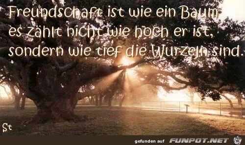 Freundschaft ist Freundschaft ist