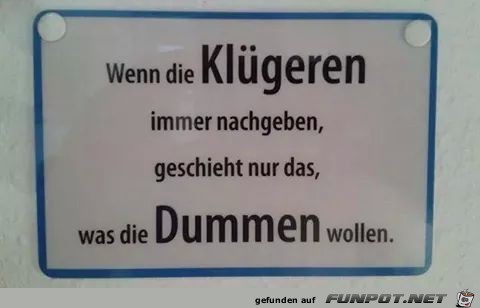 Dummen